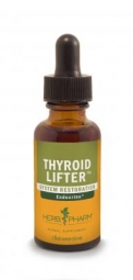 Thyroid Lifter AKA Nettle ~ Bladderwrack Tonic 1 Oz.
